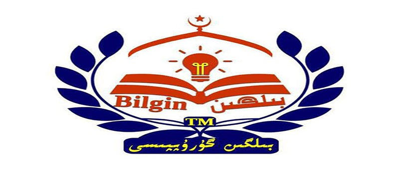 bilgin